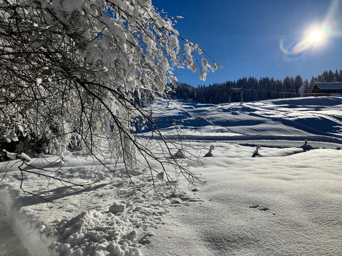 Ferienwohnung Bergblick Am Rande Der Wildnis Sibratsgfäll Esterno foto