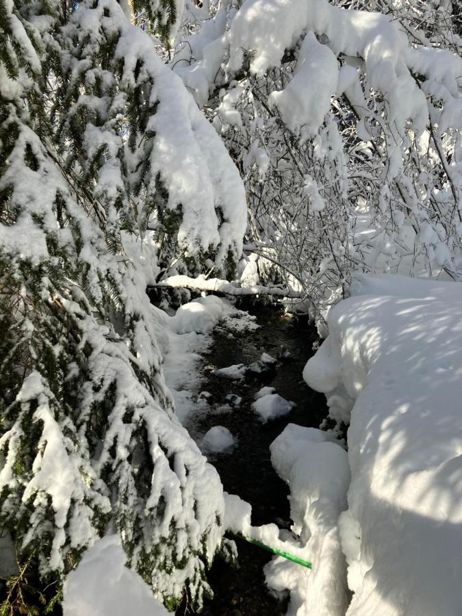 Ferienwohnung Bergblick Am Rande Der Wildnis Sibratsgfäll Esterno foto